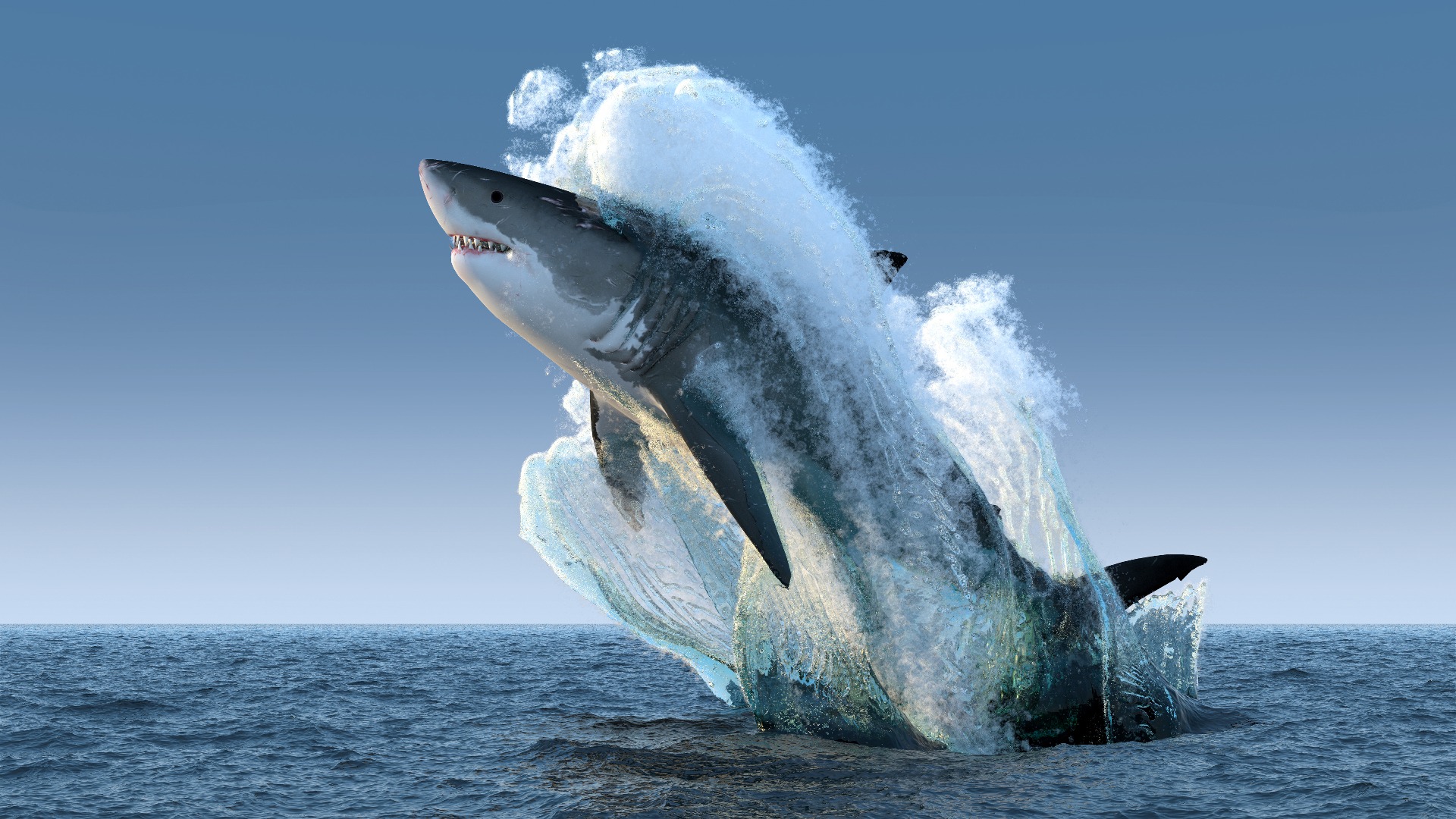 Springende witte haai