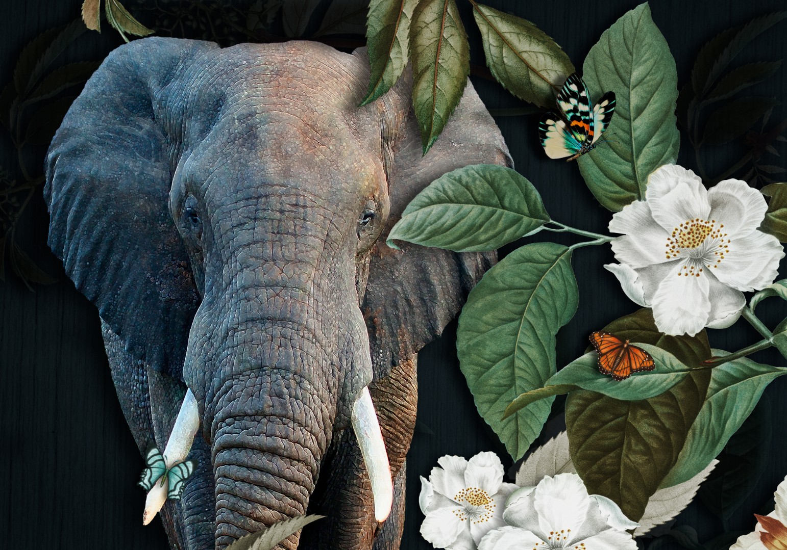 Olifant met bloemen en vlinders