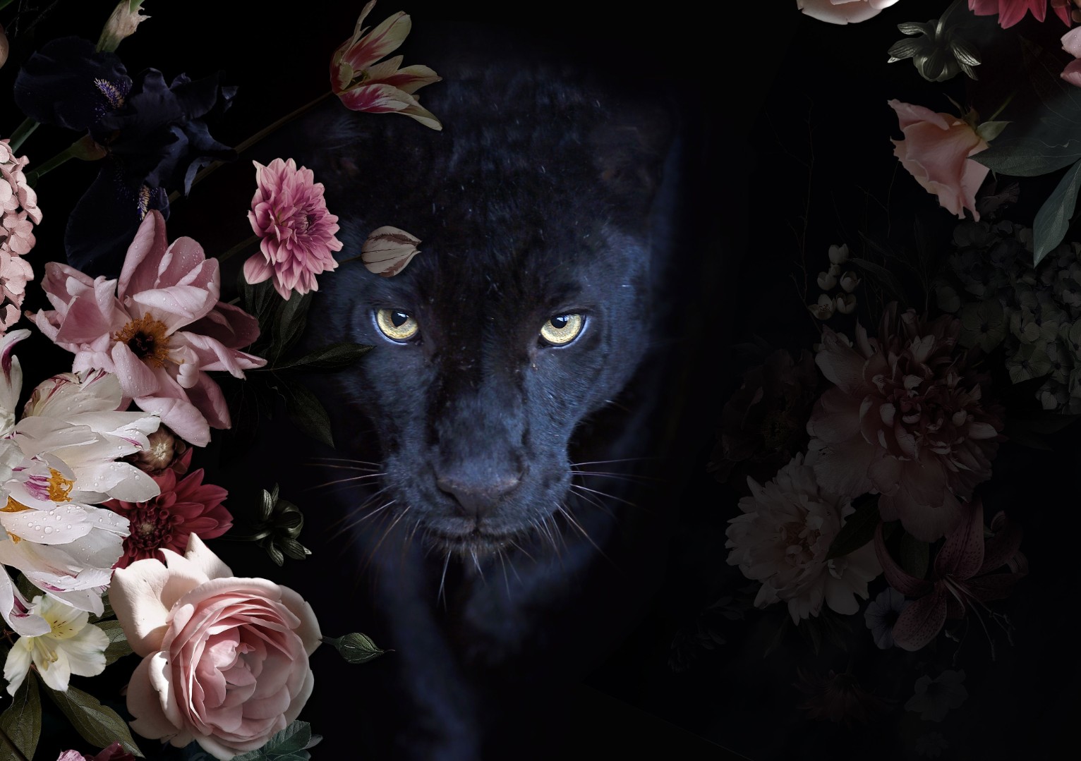 Zwarte panter met bloemen-7639
