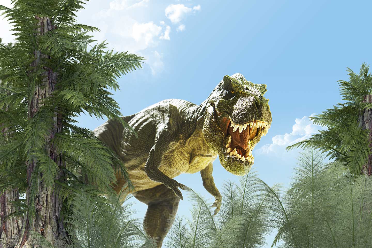 T Rex