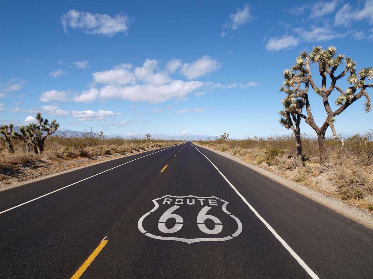 Route 66