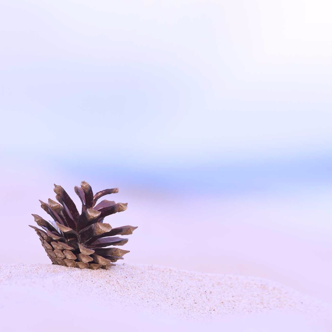 Rustig Strand