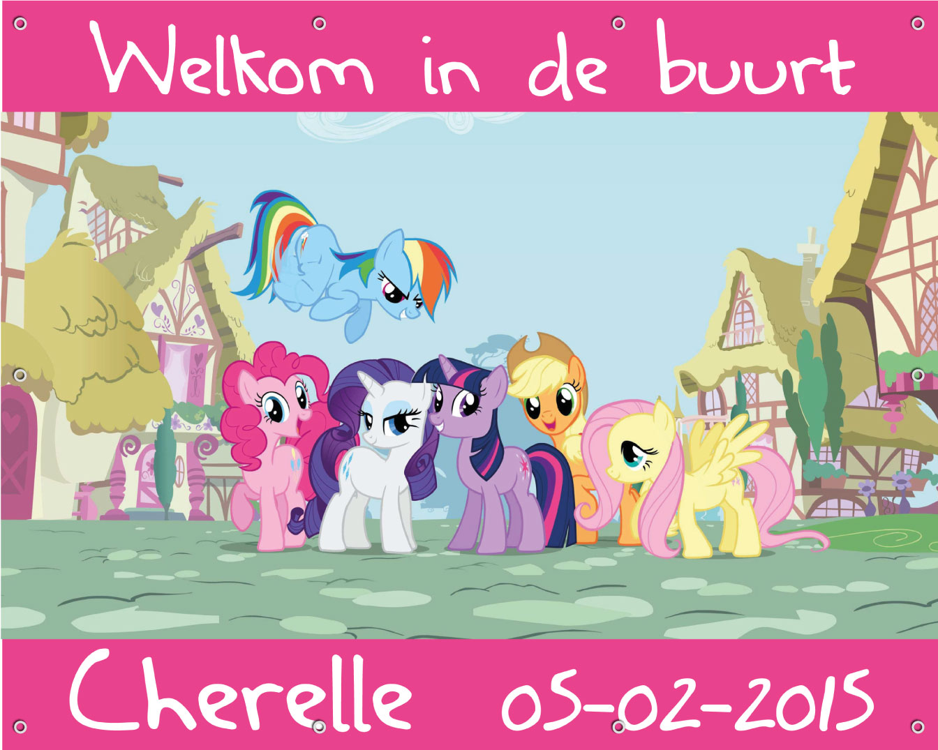 Geboorte spandoek my little pony