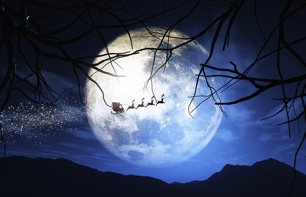 Kerstman in slee-7300