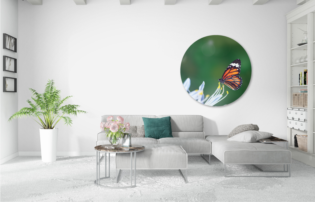 Muursticker vlinder op bloem