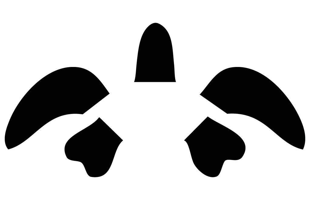 Schildpad brandhaspel-1510